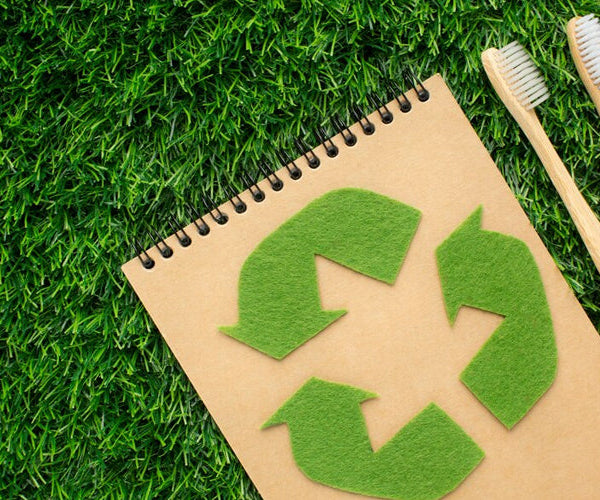Embracing Sustainability: 10 Creative Upcycling Ideas to Revitalize Yo ...