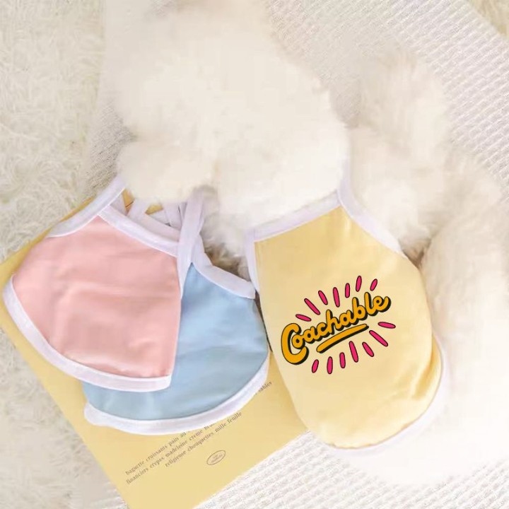 CustomHK: Crafting a Fashion Wardrobe Tailored for Your Pet