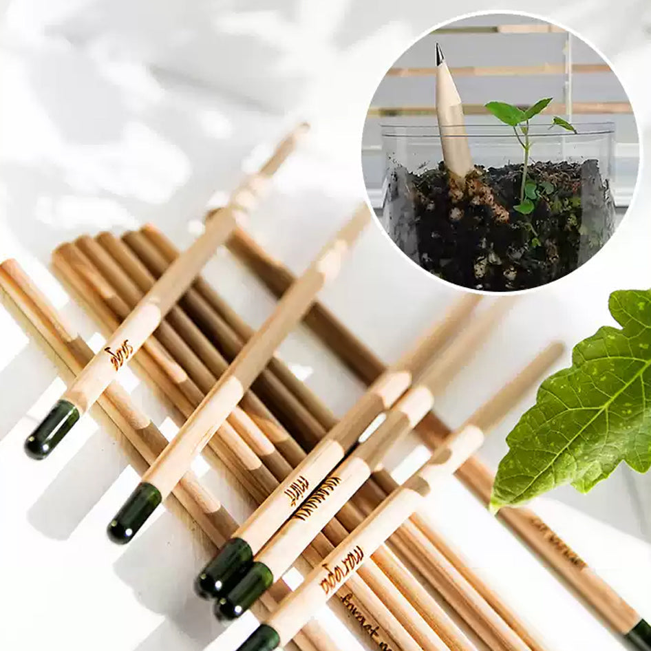 🌱✨【讓環保教育生根發芽———定制種子鉛筆，點亮綠色校園】✨🌱