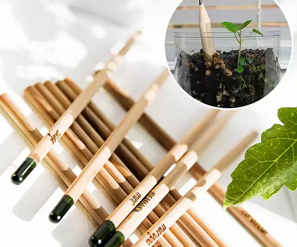 🌱 【Let environmental education take root and sprout---Customized seed ...