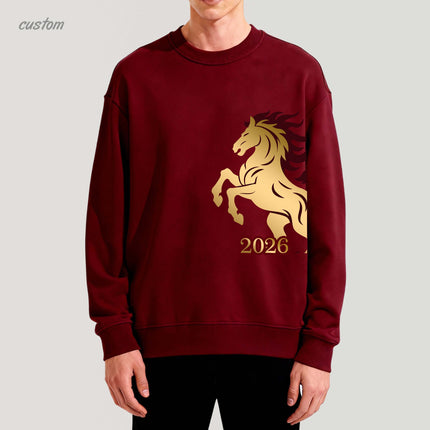 2026 CNY Gifts | New Year Hoodie Year Of Horse Hoodie New Year Clothes