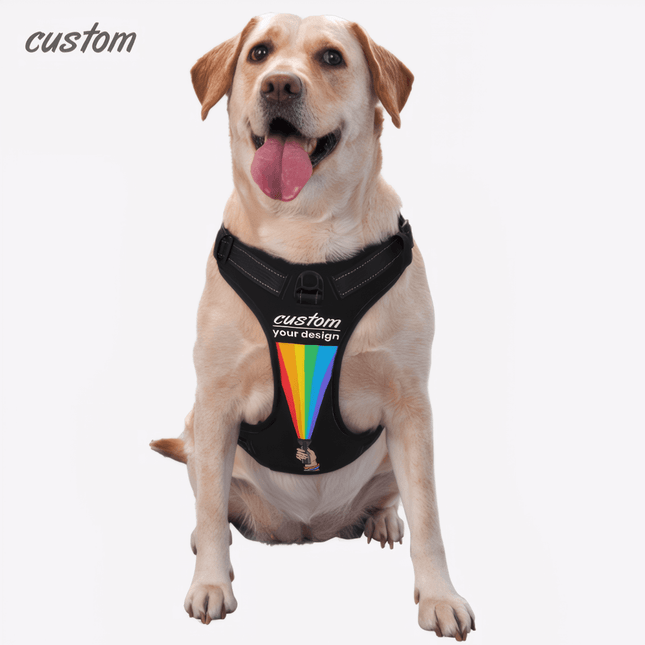 Dog harness