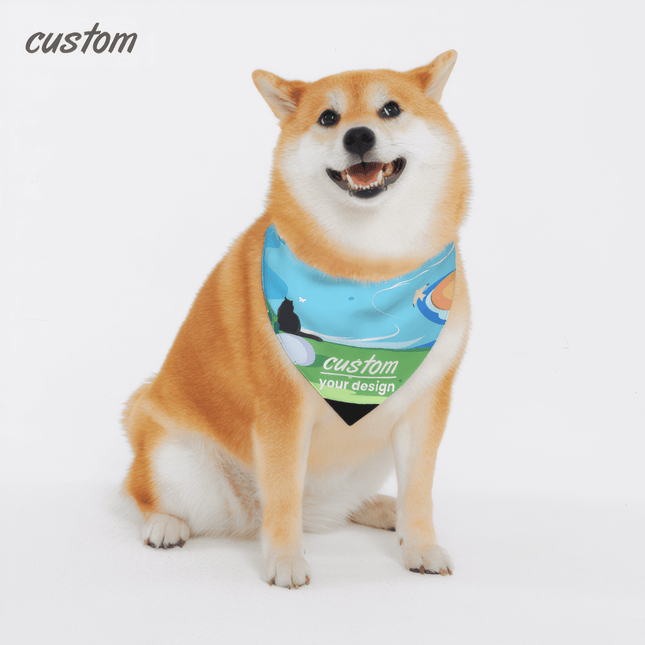 Pet accessories
