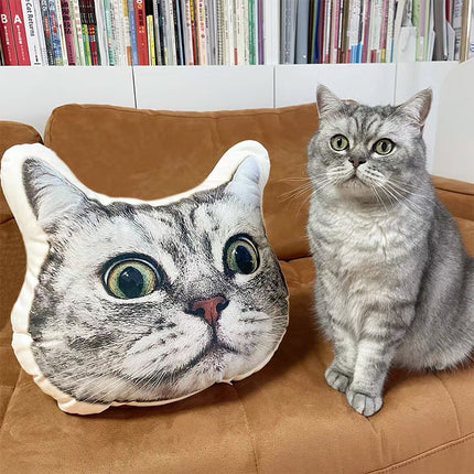 Irregular Shaped Pillow